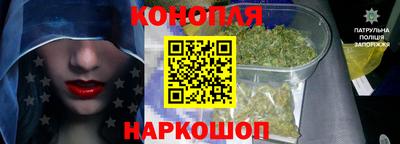 меф Долгопрудный